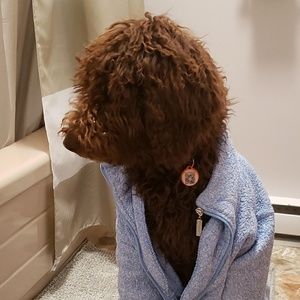 Meet your Posher, Megan